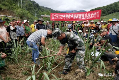 產(chǎn)業(yè)技術(shù)培訓(xùn) 助推脫貧鞏固