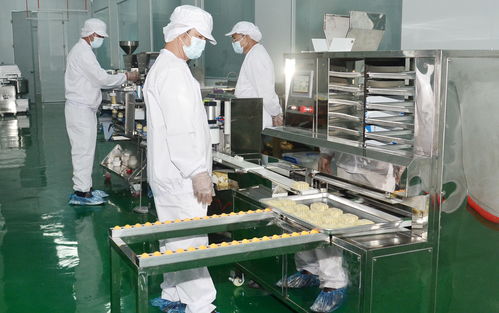 全球首個ai食品工廠落地 羅定市絲苗米產業(yè)園絲苗米初精深加工項目正式投產