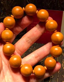 洛寧縣東林苗木 3 美國猴頭核桃精品鑒賞 光珠手串